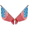 Stars and Stripes