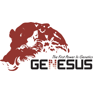 Genesus Global Market Report