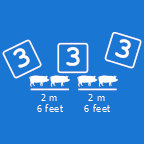 Pig333