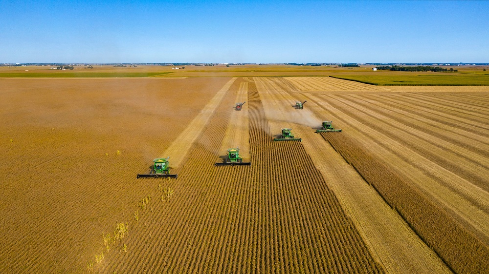 Latin American Soybean Exports Hit by Covid Slump